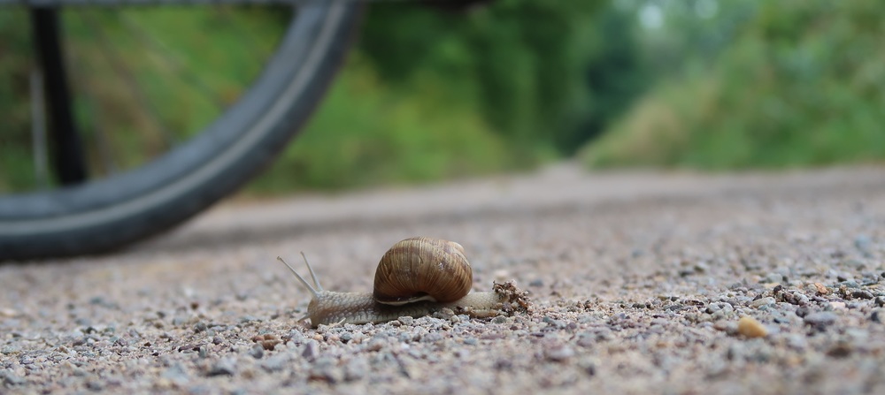 Sanfte Mobilität mit dem Fahrrad / Kathpress / Robert Mitscha-Eibl