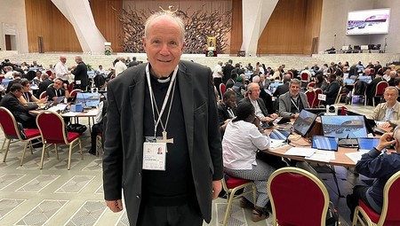 Kardinal Schönborn zur Synode: 'Der Weg geht weiter, und die Kirche wächst'