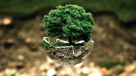 10 Jahre 'Laudato si': KJ und Orden mahnen Schöpfungsverantwortung ein