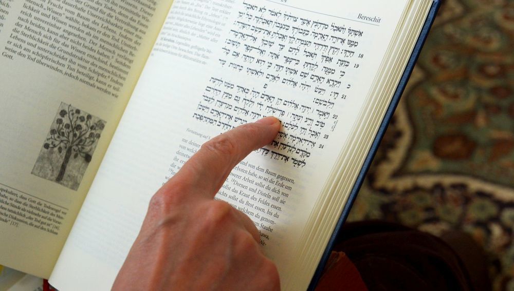 Viele neue Übersetzungen: Bibel gibt es nun in 769 Sprachen / kathbild.at / Rupprecht Viele neue Übersetzungen: Bibel gibt es nun in 769 Sprachen