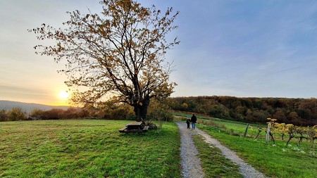 Diözese Eisenstadt veröffentlicht Hoffnungsimpulse zur inneren Einkehr