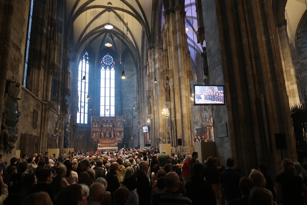 Lange Nacht der Kirchen im Stephansdom / Robert Mitscha-Eibl/Kathpress