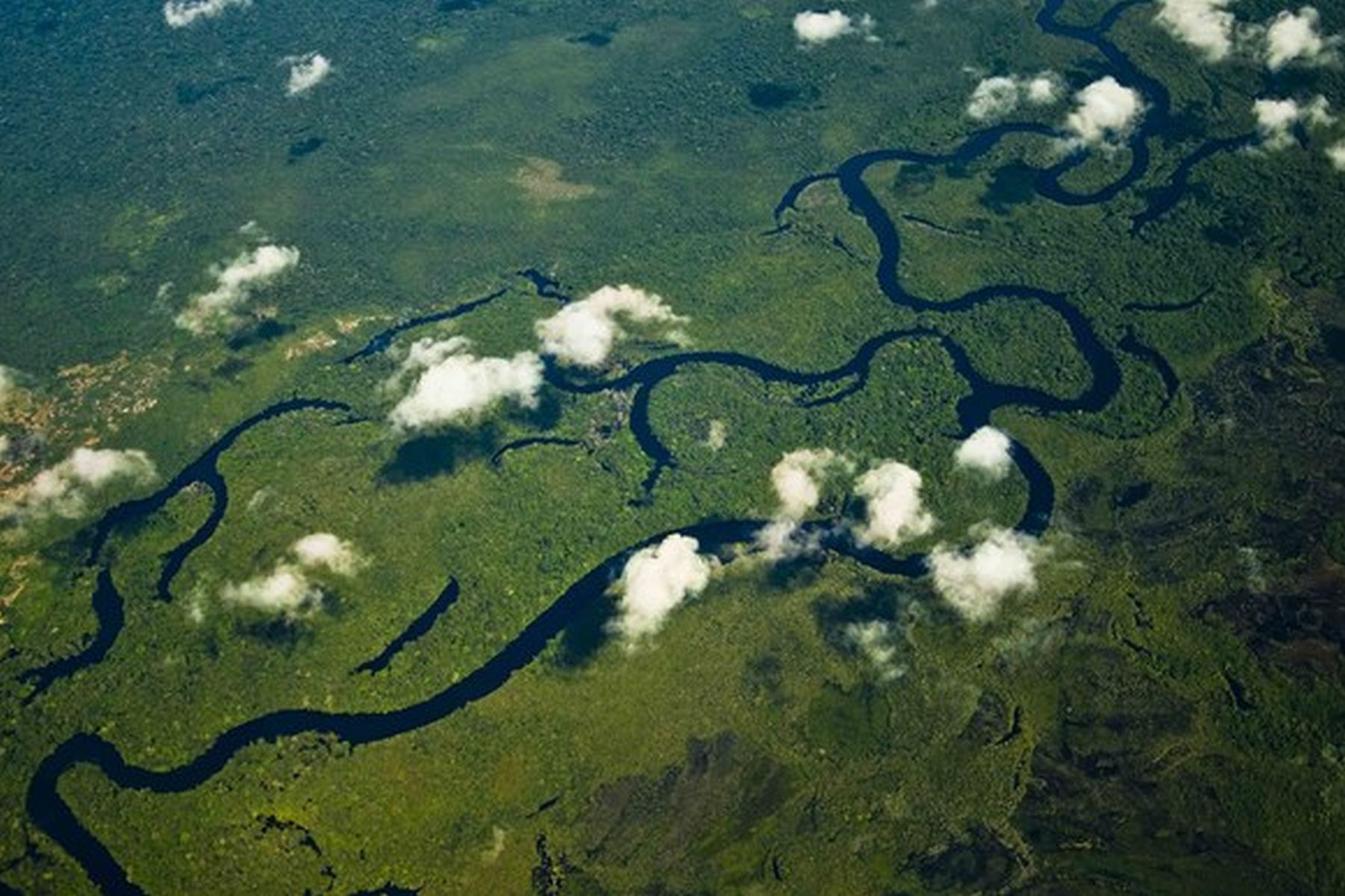 Der Widerstand gegen das vom brasilianischen Parlament verabschiedete Gesetz zur Vergabe von illegal besetztem Staatsland am Amazonas wächst. Umweltschützer halten das von der Agrarlobby durchgesetzte Gesetz für eine Bedrohung des Regenwaldes.Bild: